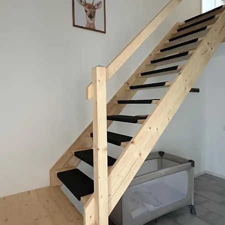 Haselnuss * Schleiden