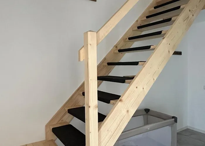 Haselnuss * Schleiden